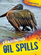 Examining Oil Spills