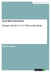 Exegese Exodus 3,1-14  Moses Berufung 