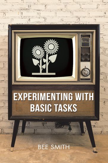 Experimenting with Basic Tasks - Bee Smith