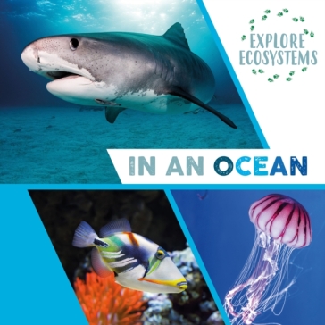 Explore Ecosystems: In an Ocean - Sarah Ridley