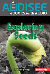 Exploring Seeds