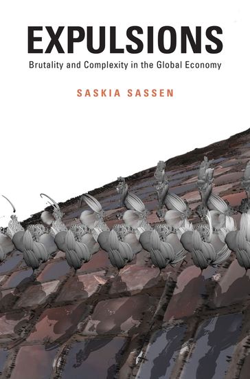 Expulsions - Saskia Sassen