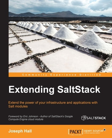 Extending SaltStack - Joseph Hall
