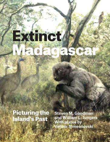 Extinct Madagascar - Steven M. Goodman - William L. Jungers