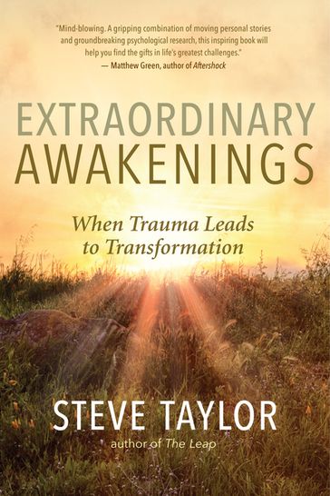 Extraordinary Awakenings - Steve Taylor