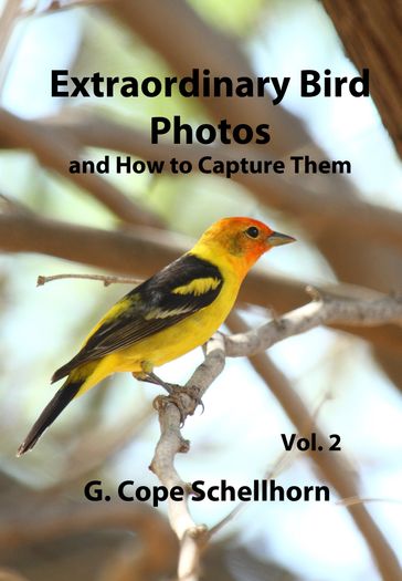 Extraordinary Bird Photos and How to Capture Them Vol. 2 - G. Cope Schellhorn