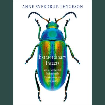 Extraordinary Insects: Weird. Wonderful. Indispensable. The ones who run our world. - Anne Sverdrup-Thygeson