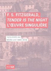 F. S. Fitzgerald, Tender Is the Night L oeuvre singulière