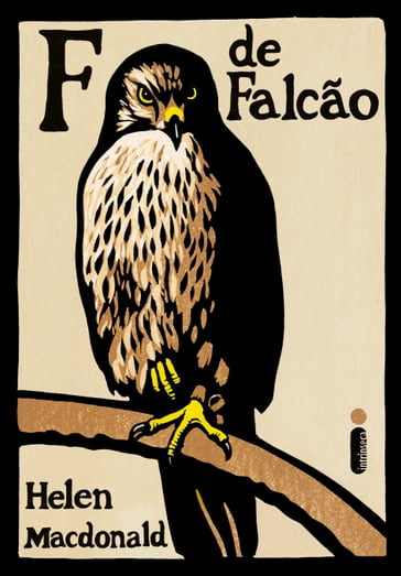 F de falcão - Helen Macdonald