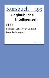 FLXX Schlussleuchten von und mit Peter Felixberger