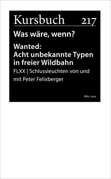 FLXX   Schlussleuchten von und mit Peter Felixberger - Peter Felixberger