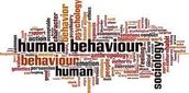 FORECASTING TYPES OF ANTI-SOCIAL BEHAVIOUR