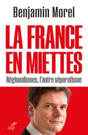 LA FRANCE EN MIETTES - REGIONALISMES, L AUTRE SEPARATISME