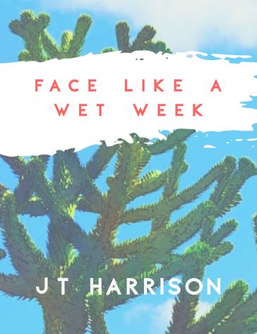 Face Like a Wet Week - JT Harrison