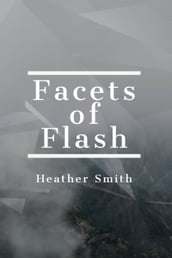 Facets of Flash