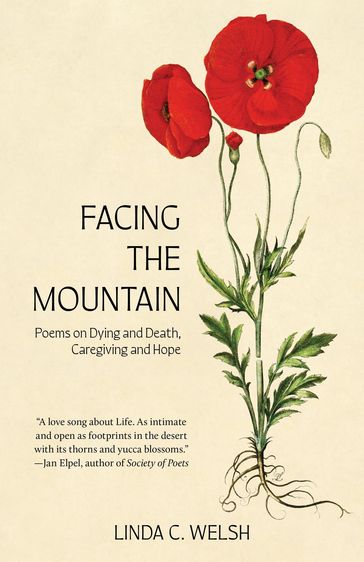 Facing the Mountain - Linda C. Welsh