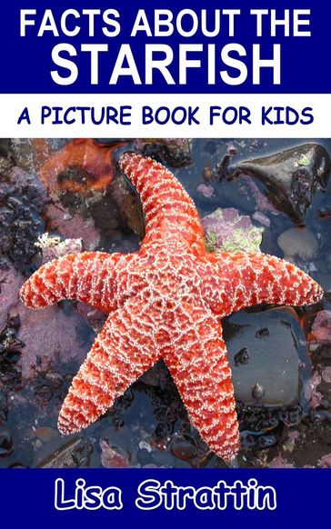 Facts About the Starfish - Lisa Strattin