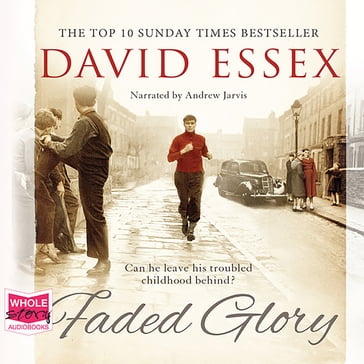 Faded Glory - David Essex