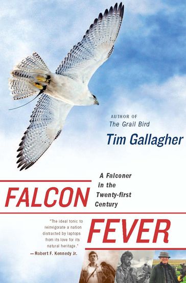 Falcon Fever - Tim Gallagher