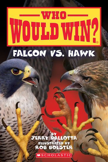 Falcon vs. Hawk (Who Would Win?) - Jerry Pallotta
