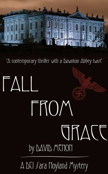 Fall From Grace - David Menon