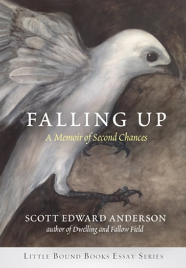 Falling Up - Scott Anderson