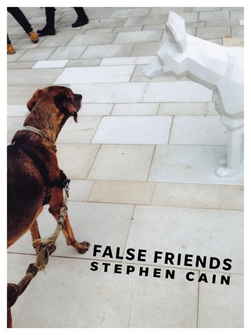False Friends - Stephen Cain