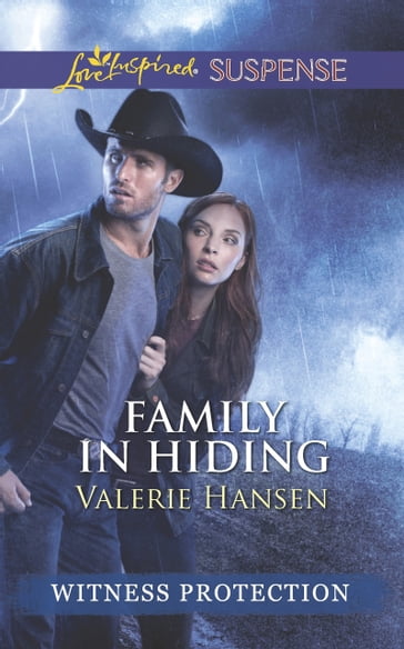 Family In Hiding (Witness Protection) (Mills & Boon Love Inspired Suspense) - Valerie Hansen