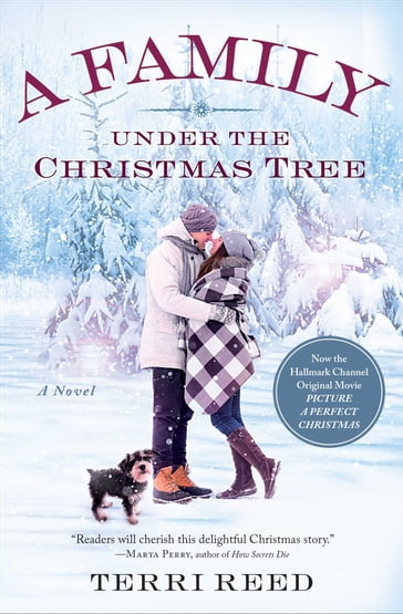 A Family Under the Christmas Tree - Terri Reed