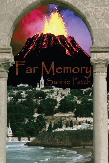 Far Memory - Sannie Patch