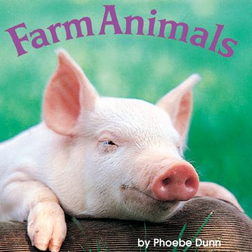 Farm Animals - Phoebe Dunn