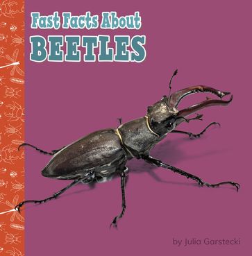 Fast Facts About Beetles - Julia Garstecki-Derkovitz