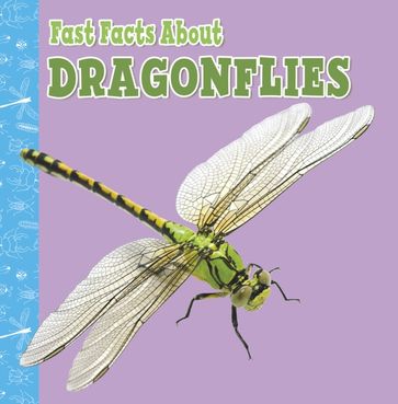 Fast Facts About Dragonflies - Julia Garstecki-Derkovitz