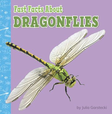 Fast Facts About Dragonflies - Julia Garstecki-Derkovitz