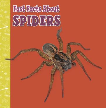 Fast Facts About Spiders - Julia Garstecki-Derkovitz
