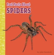 Fast Facts About Spiders