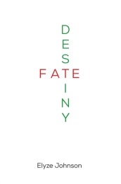 Fate/Destiny