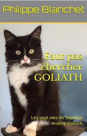 Faut pas chercher Goliath