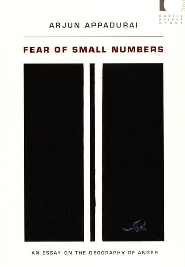 Fear of Small Numbers - Arjun Appadurai - Benjamin Lee - Dilip Parameshwar Gaonkar - Jane Kramer - Michael Warner