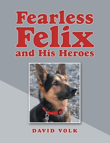 Fearless Felix and His Heroes - David Volk