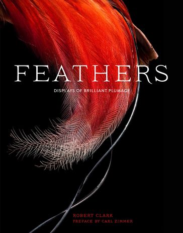 Feathers - Carl Zimmer - Robert Clark