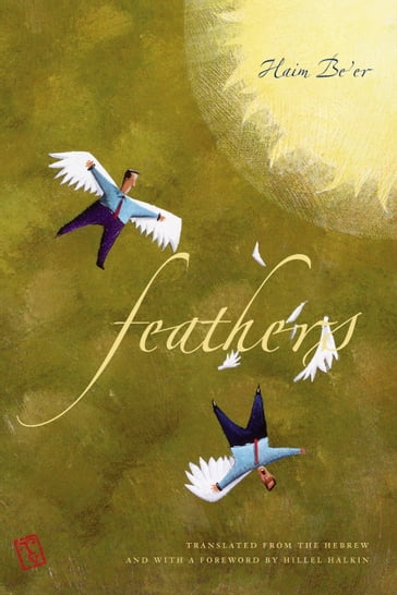 Feathers - Haim Beer