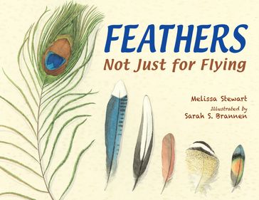 Feathers - Melissa Stewart