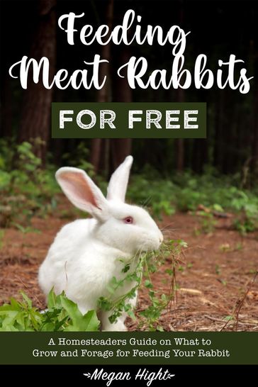 Feeding Meat Rabbits for Free - Megan Hight