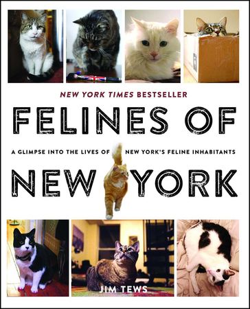 Felines of New York - Jim Tews