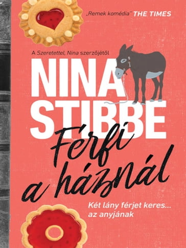 Férfi a háznál - Nina Stibbe