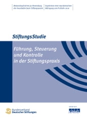 Führung, Steuerung und Kontrolle in der Stiftungspraxis