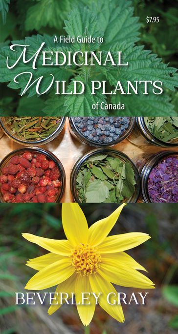 A Field Guide to Medicinal Wild Plants of Canada - Beverley Gray
