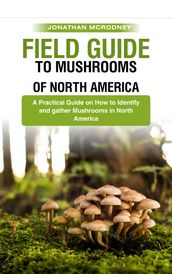 Field Guide to Mushrooms of North America