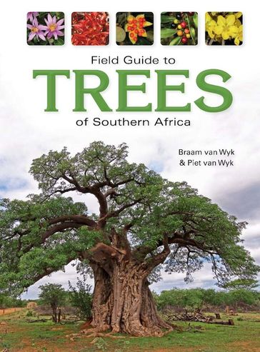 Field Guide to Trees of Southern Africa - Braam van Wyk